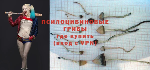 гидропоника Семилуки