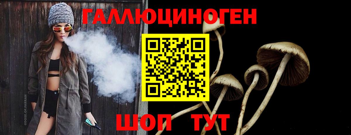 Ивантеевка  Галлюциногенные грибы Psilocybe  Вход с VPN 