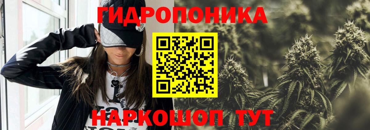 Канабис гибрид Ивантеевка